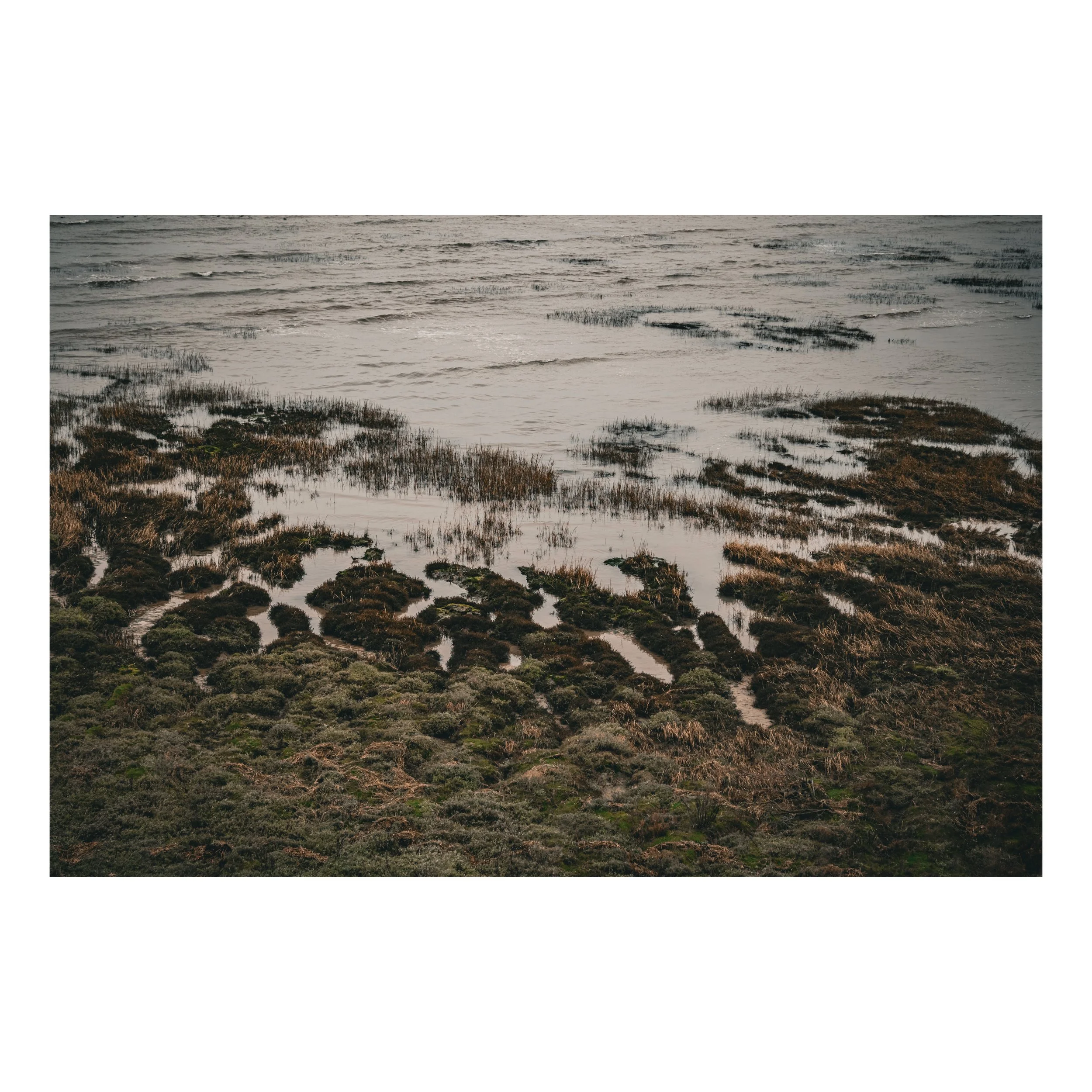 Landscape (Ramsgate)