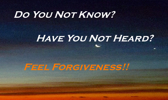 Feel Forgiveness