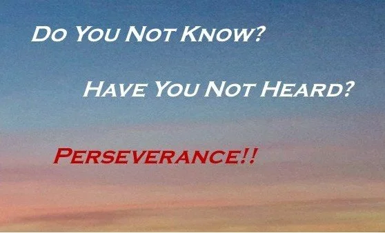 Folded Business Card - Perseverance OS Front.jpg