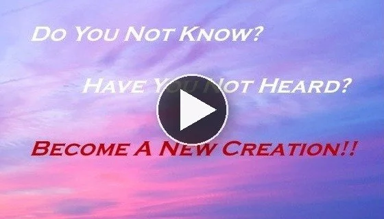 New_Creation_Thumbnail.jpg