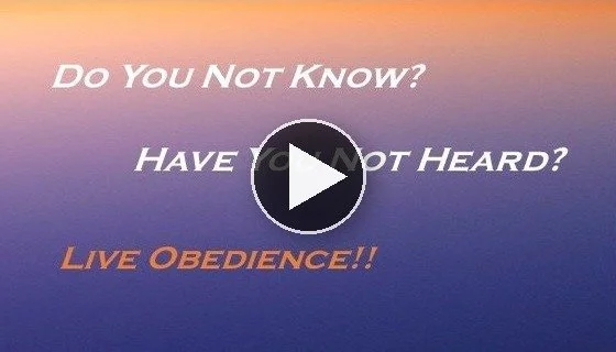 Live_Obedience_Thumbnail.jpg