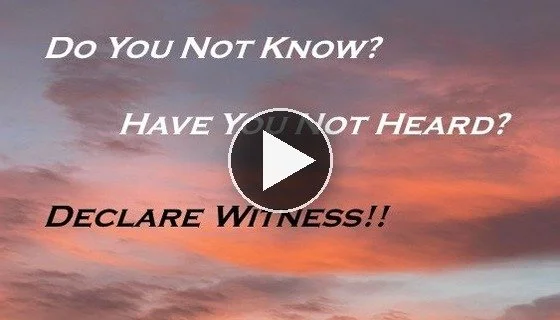 Declare_Witness_Thumbnail.jpg