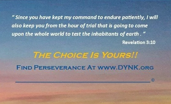 Folded Business Card - Perseverance OS Back.jpg