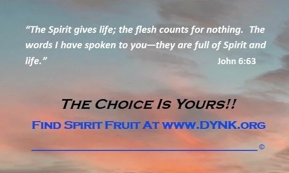 Folded Business Card - Fruit of the Spirit OS Back.jpg