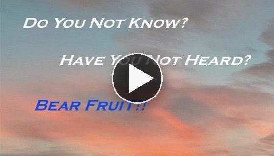 Bear_Fruit_Thumbnail.jpg