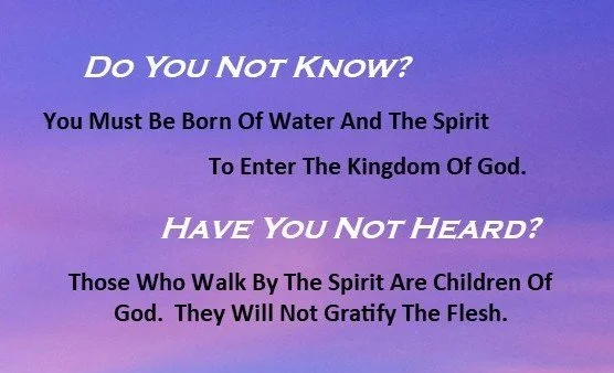 Folded Business Card - Holy Spirit IS Top.jpg