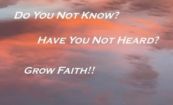 Inspirational quote over a sunrise sky with clouds, reading: 'Do You NOT Know? HAVE You NOT Heard? Grow FAITH!!'