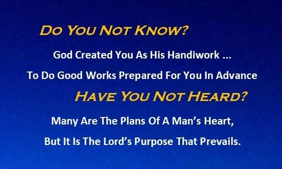 Folded Business Card - Purpose IS Top.jpg