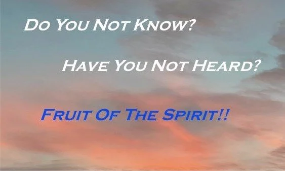 Folded Business Card - Fruit of the Spirit OS Front.jpg