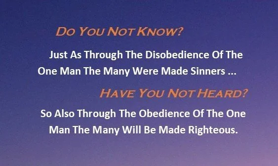 Folded Business Card - Obedience IS Top.jpg