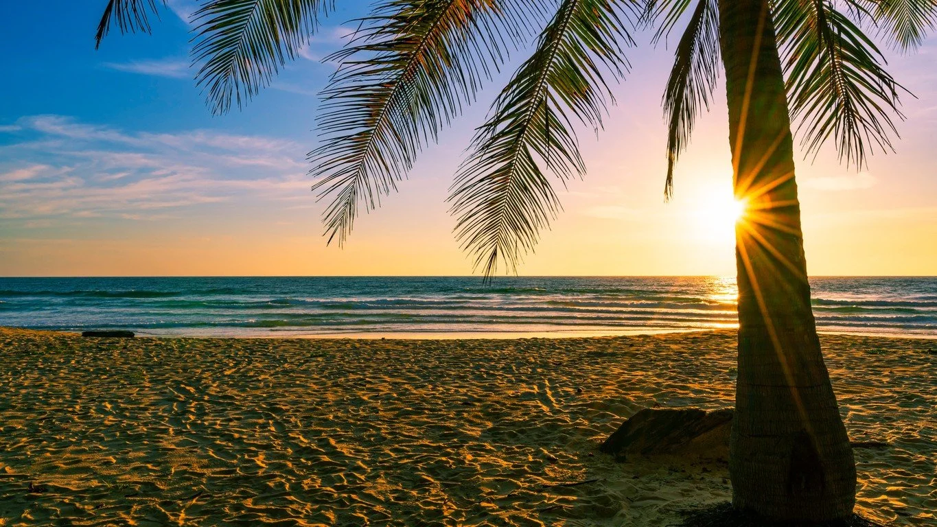 Sunset view of the beach with a palm tree in the foreground, gentle waves, and a colorful sky.