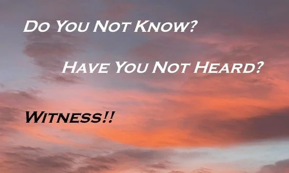 Folded Business Card - Witness OS Front.jpg