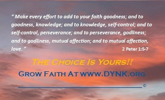 Folded Business Card - Faith OS Back.jpg