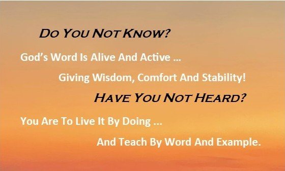 Folded Business Card - Word of God IS Top.jpg