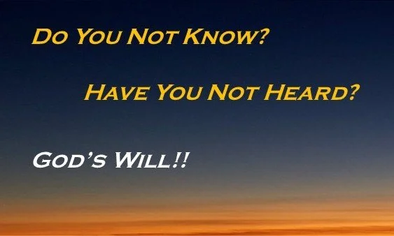 Folded Business Card - God's Will OS Front.jpg