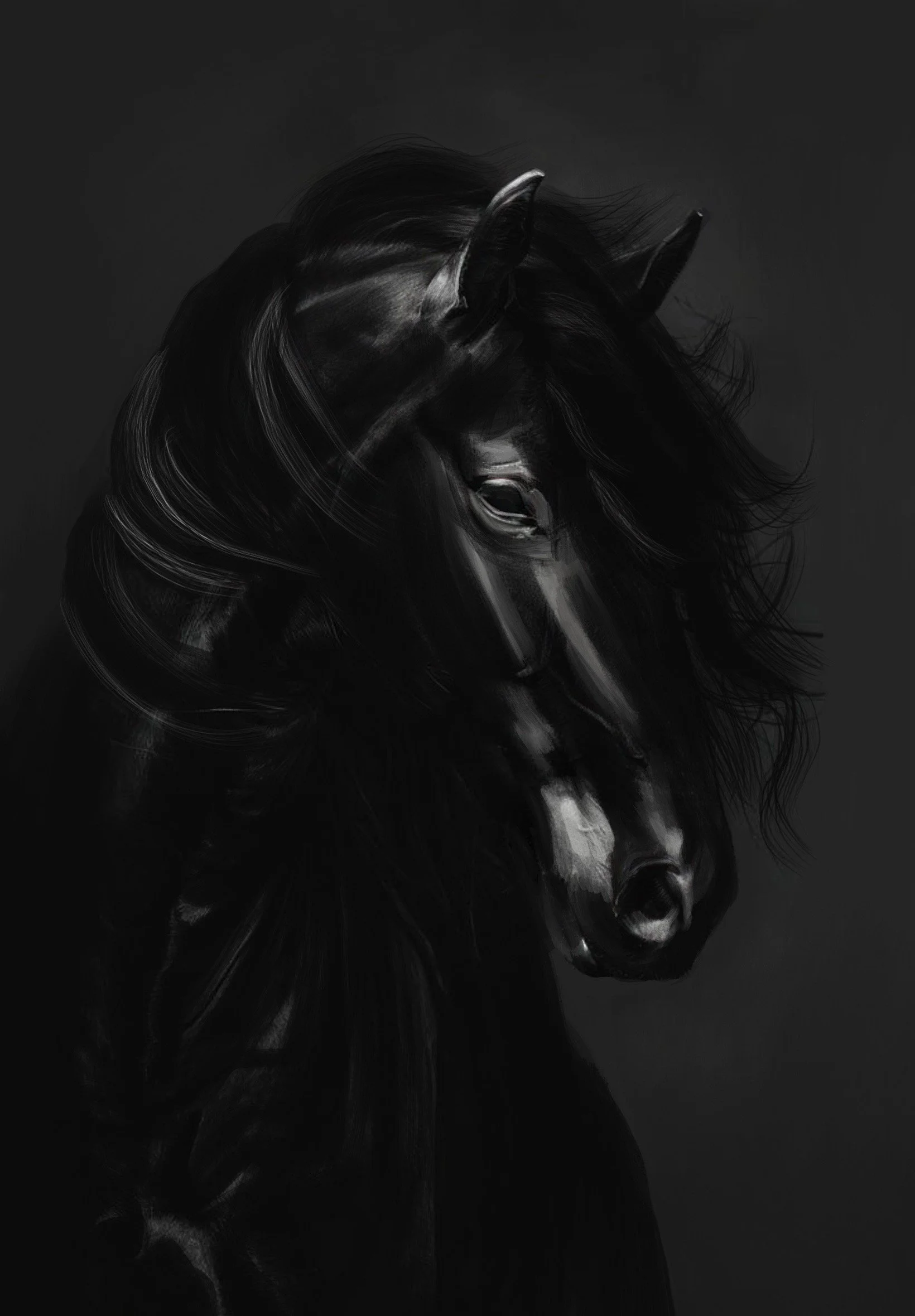 A black-and-white digital painting of a dark horse with a flowing mane, depicted against a dark background.