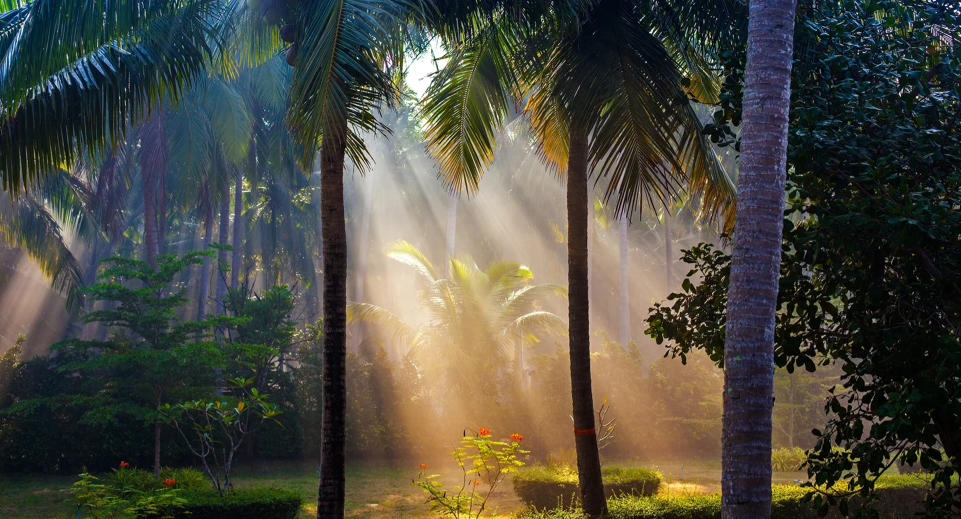 WHAT HAPPENED TO ADAM AND EVE AFTER EDEN? THE REST OF THEIR BIBLICAL STORY