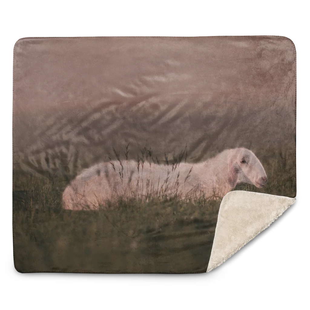 sublimated-sherpa-blanket-tan-50x60-front-69dd64525f1c1.webp