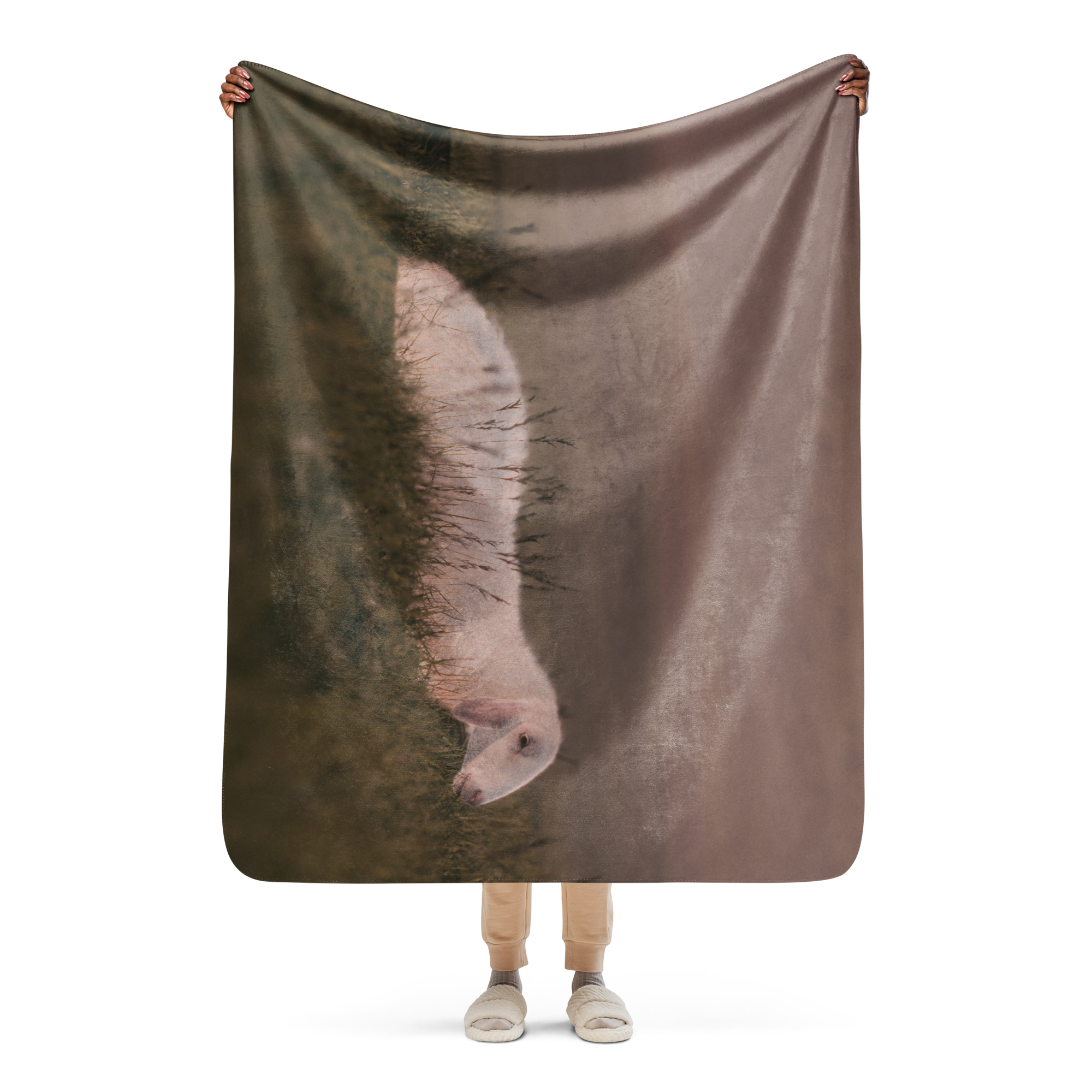 sublimated-sherpa-blanket-tan-50x60-front-69dd64525edaf.png