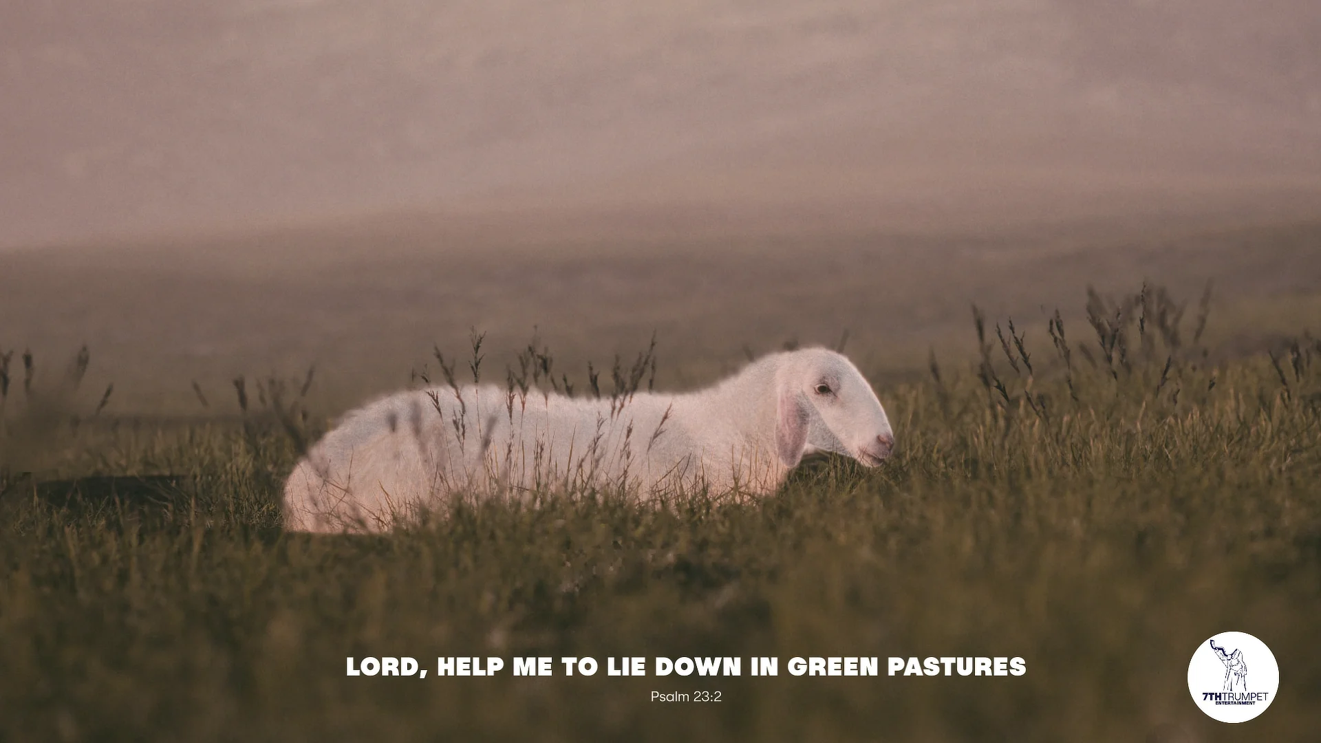 High quality Psalm 23 lamb lying down in green pastures