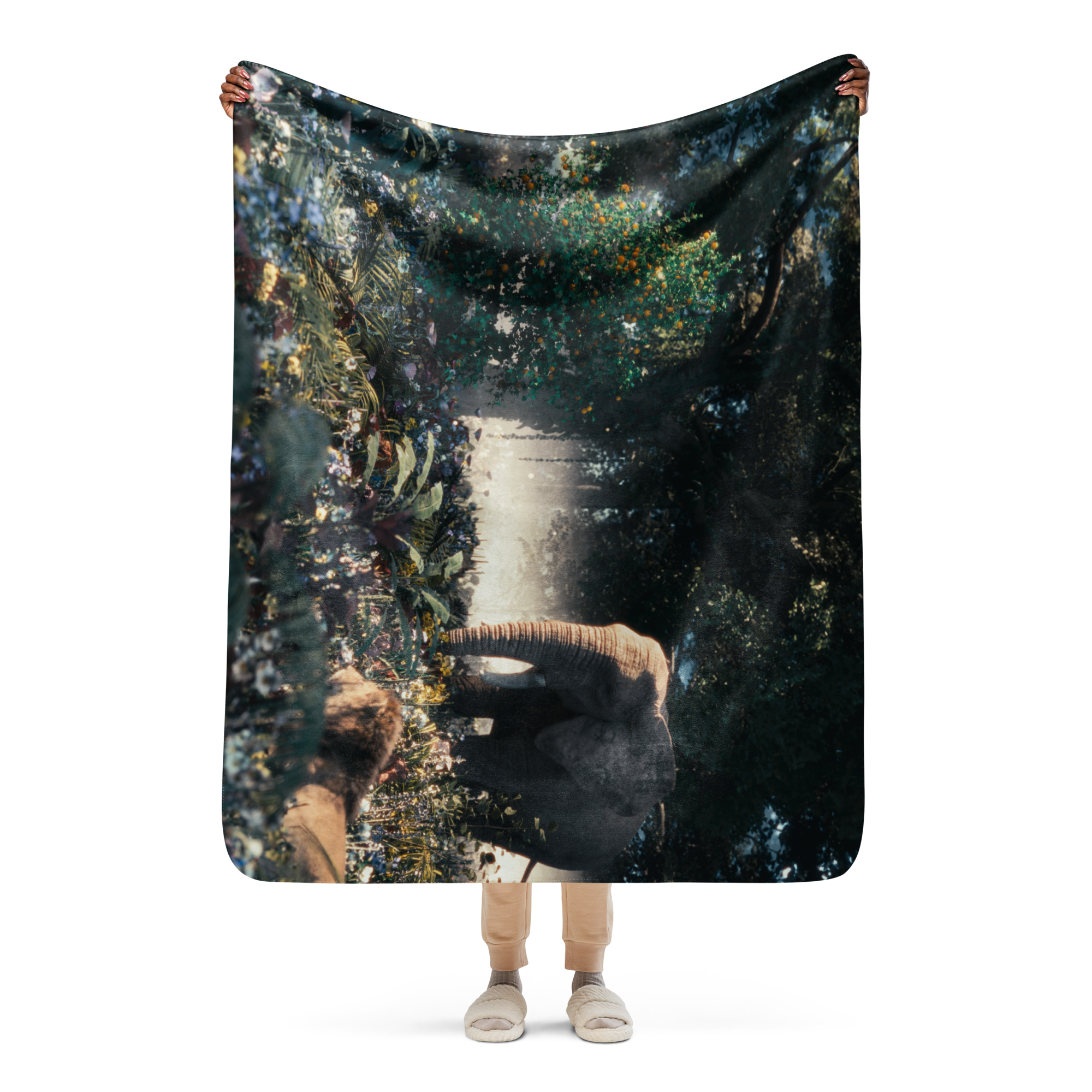 Digital biblical landscapes