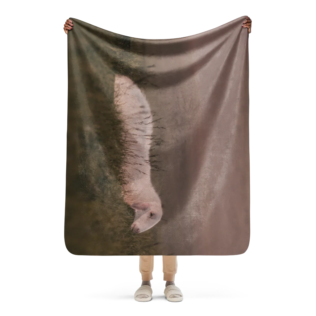 sublimated-sherpa-blanket-tan-50x60-front-69dd64525edaf.webp