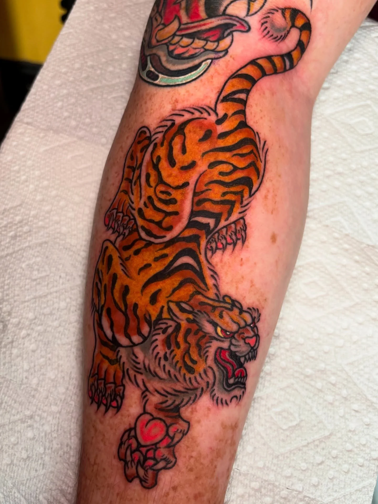 Tiger for Jeff 🐅 
Thanks fer&rsquo; lookin 

@southernstartattoo 

#gatattooers #atltattooartist #traditionalart #traditionalartist #traditionalflash #flash #tradworkers #boldwillhold #tattoodaily #tradart #tradwork #oldworkers #neotraditionaltattoo