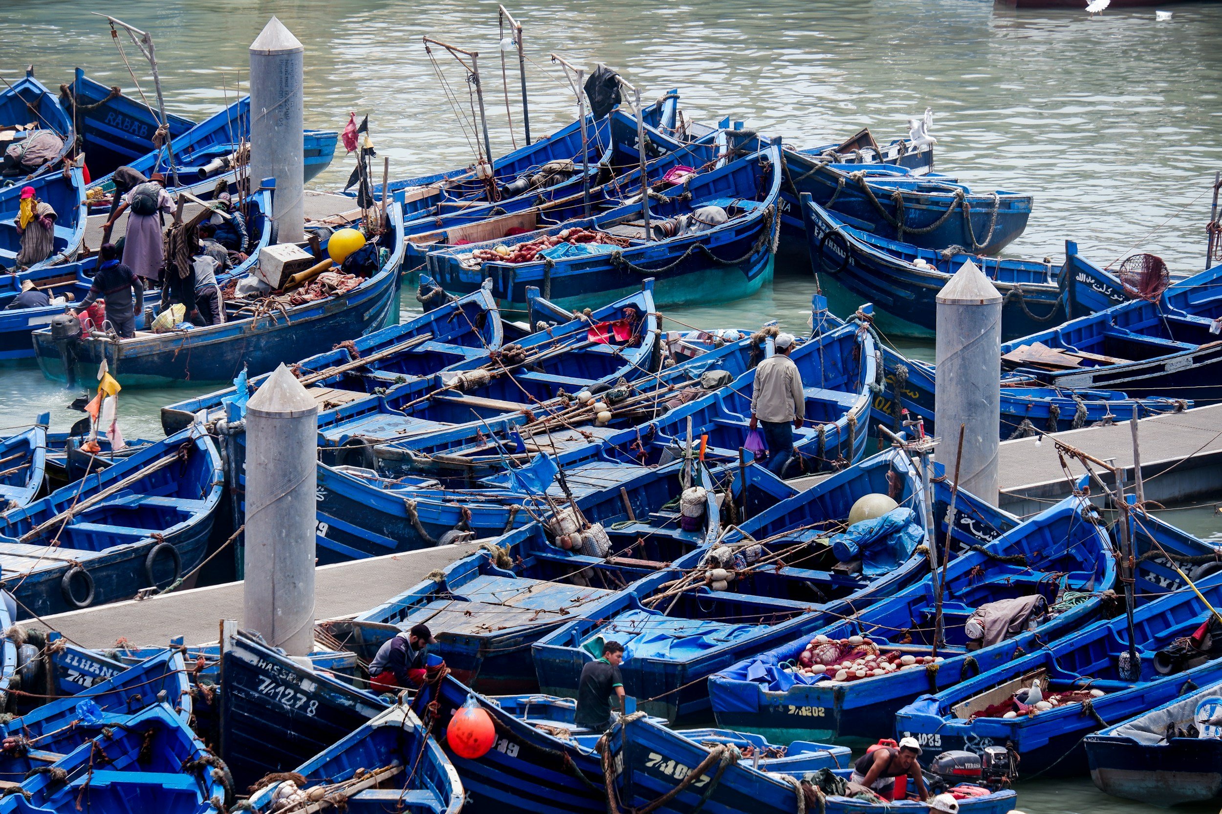 Essaouira's fishers boats lined up 