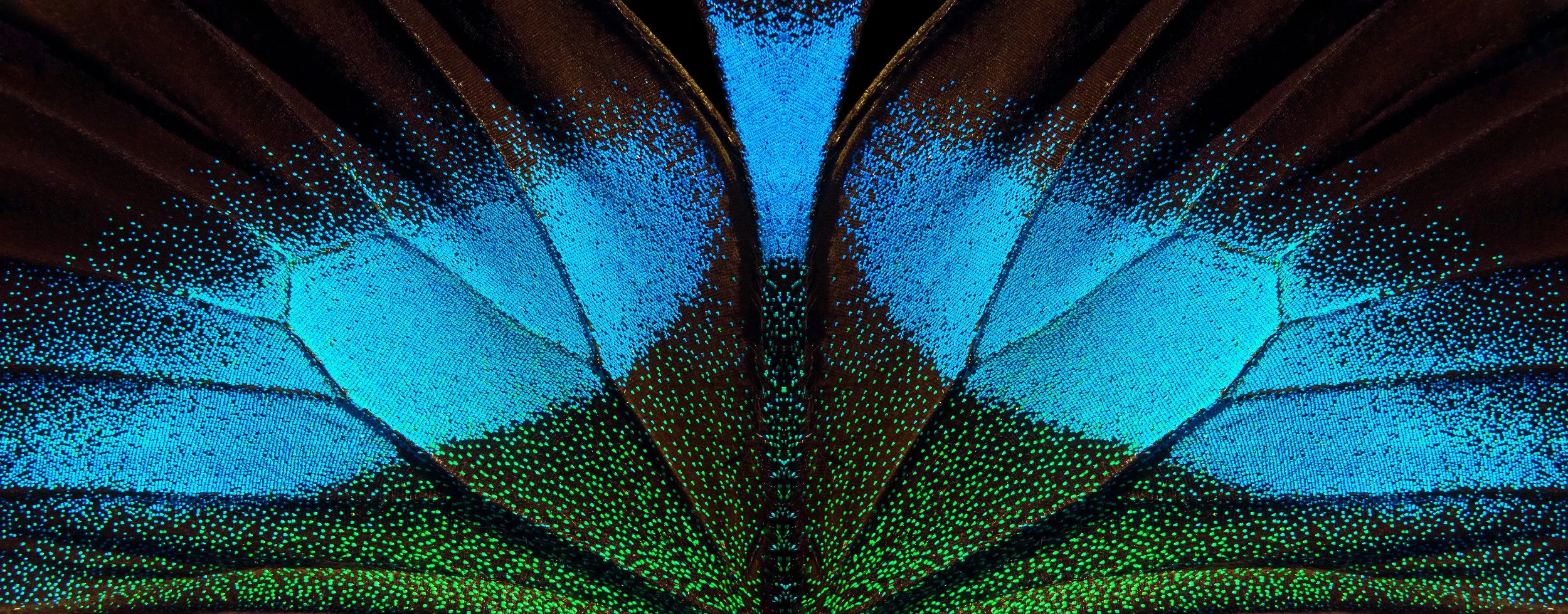 A World of Transformation