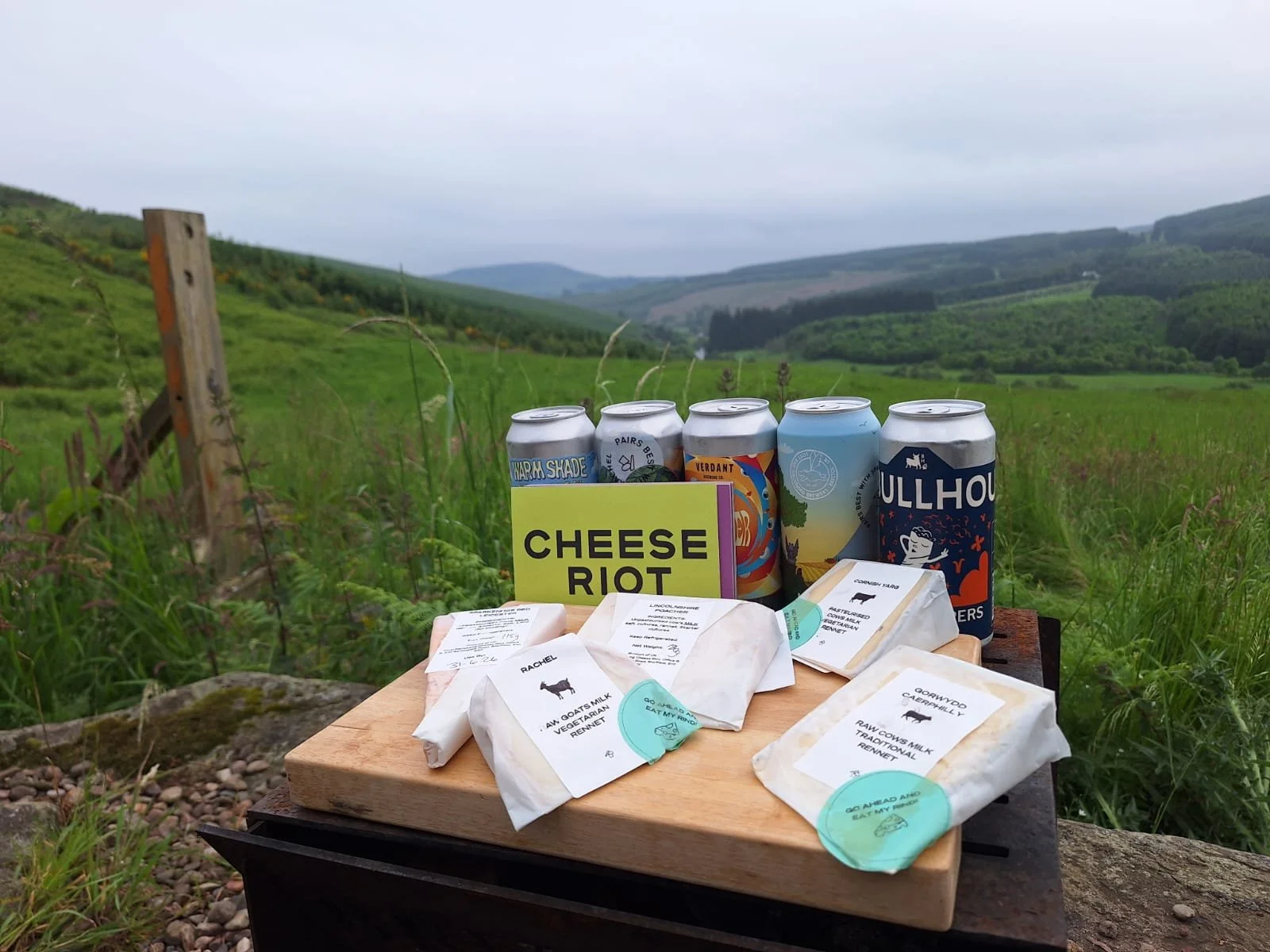 A set up of 5 beers and 5 cheeses plus tasting notes pictured on a background of hills and fields, showing a Cheese RIot Original Riot Box for a customer