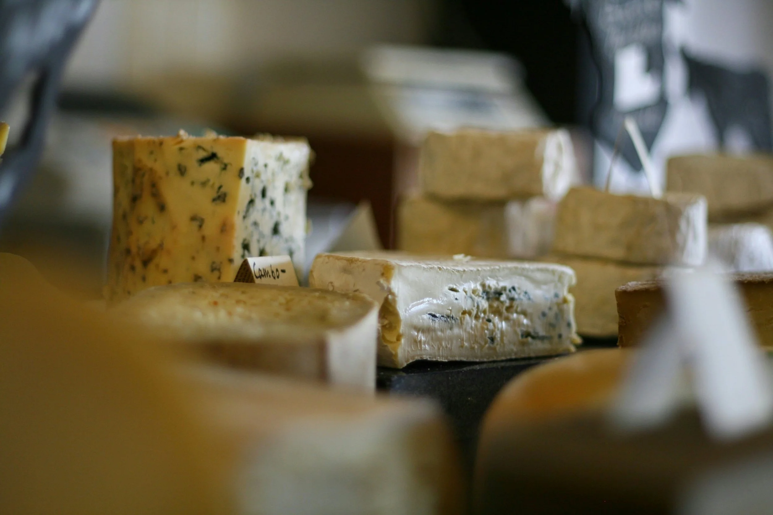 Various types of cheese displayed on a shelf in a cheese shop.