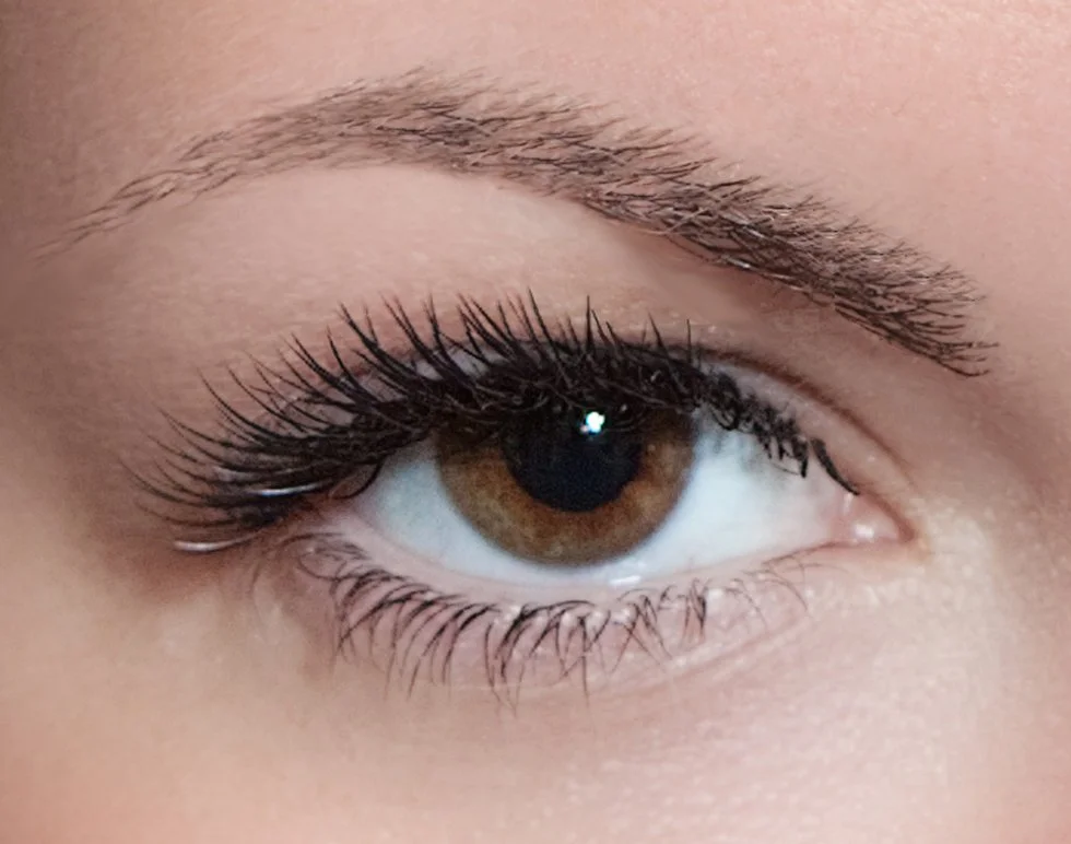 How to Become a Successful Lash Tech: 