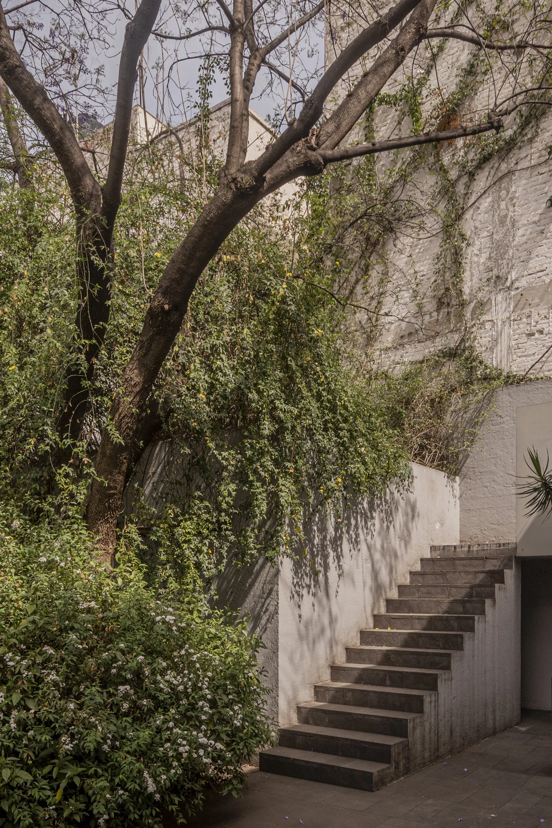 Galeria Kurimanzutto - Alberto Kalach-2.jpg