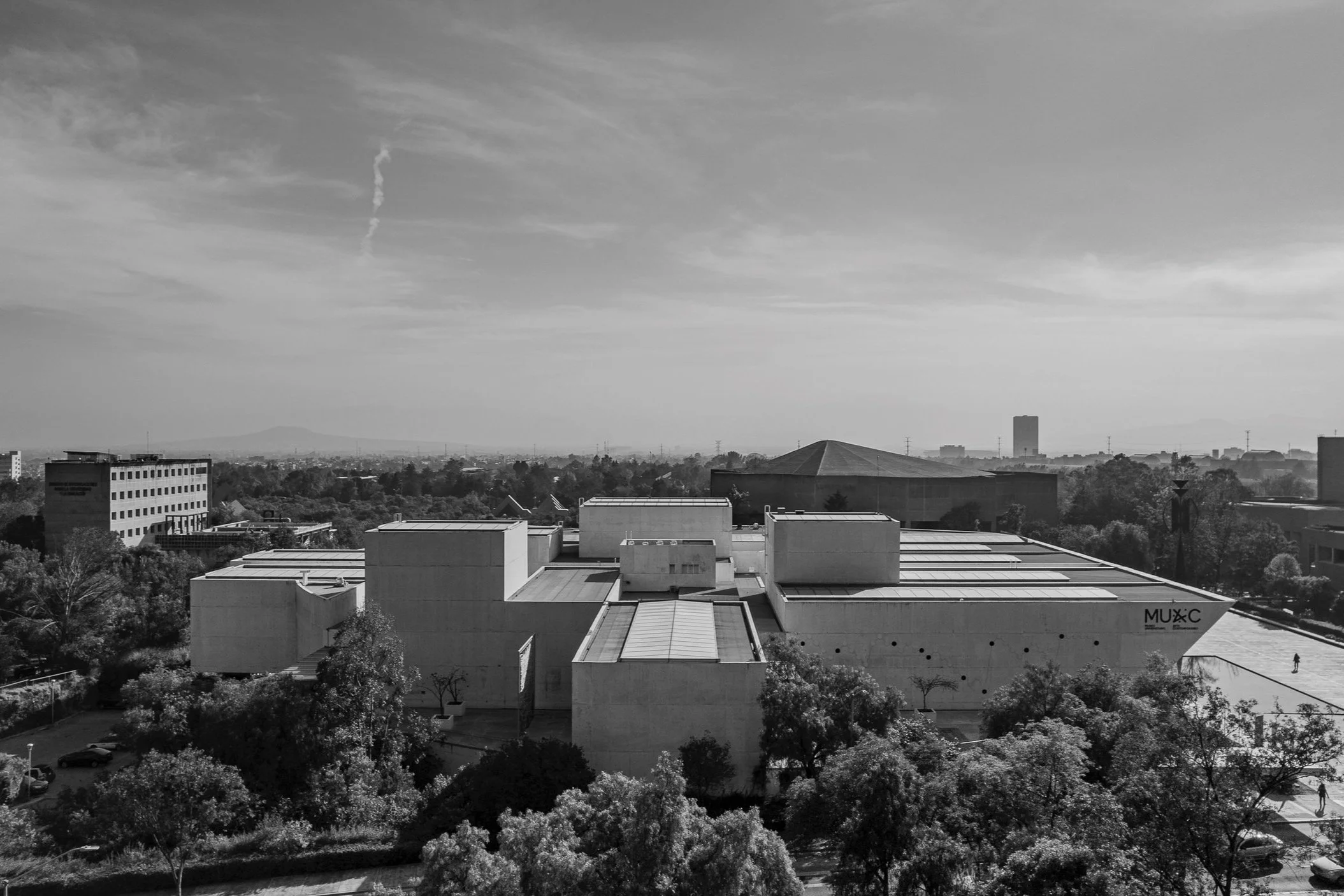 MUAC+%281+de+2%29.jpg