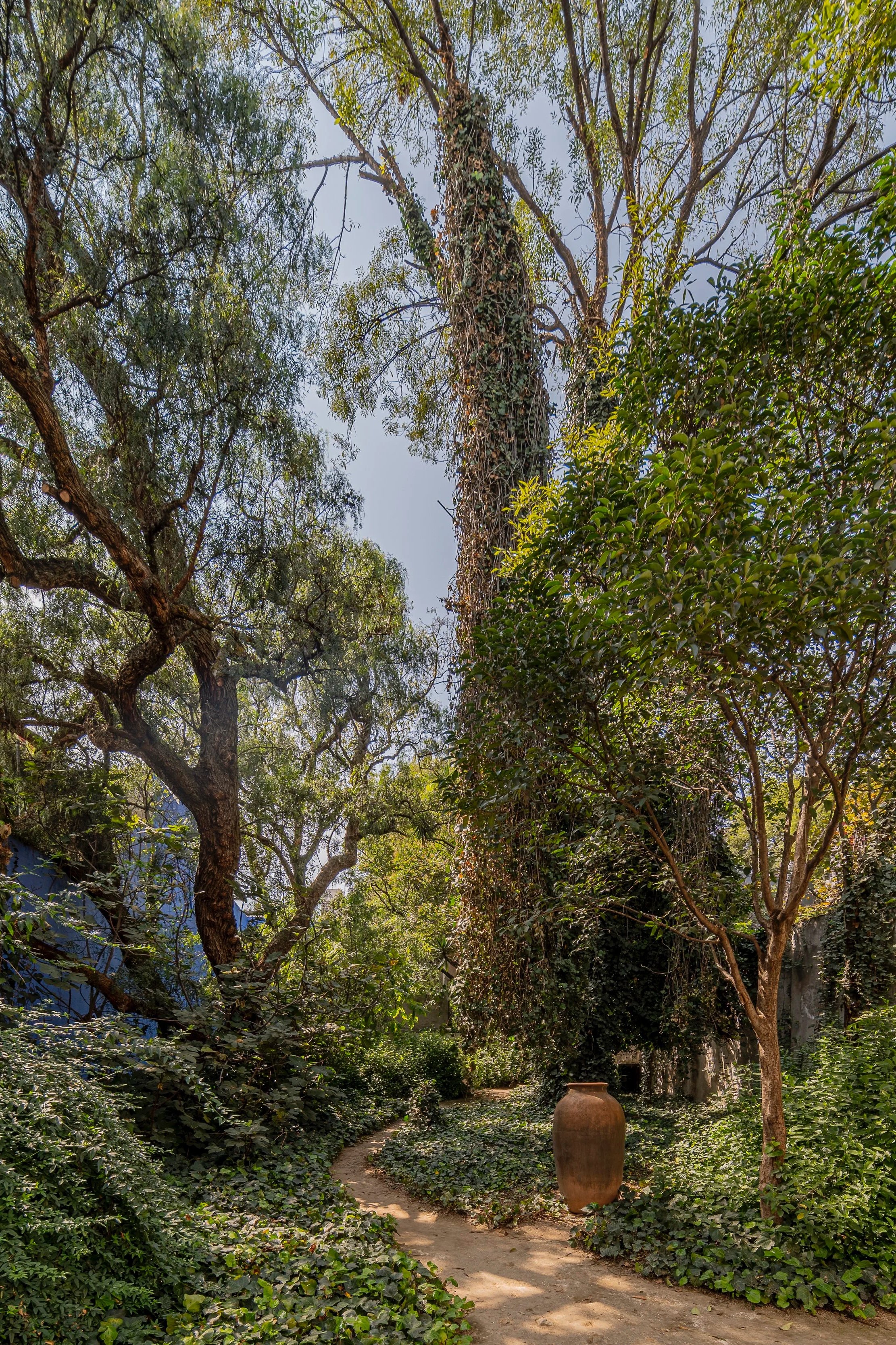 Jardin+17+-+Luis+Barragan+-+2021-12.jpg