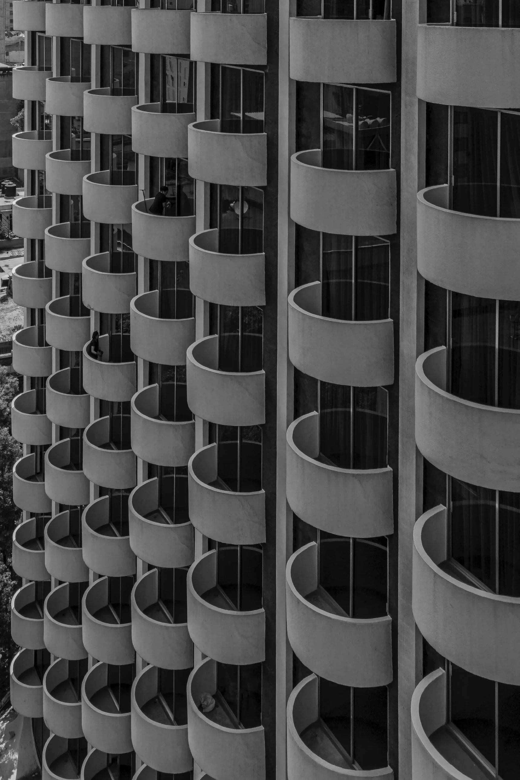 Hotel+Century+-+2026-6.jpg