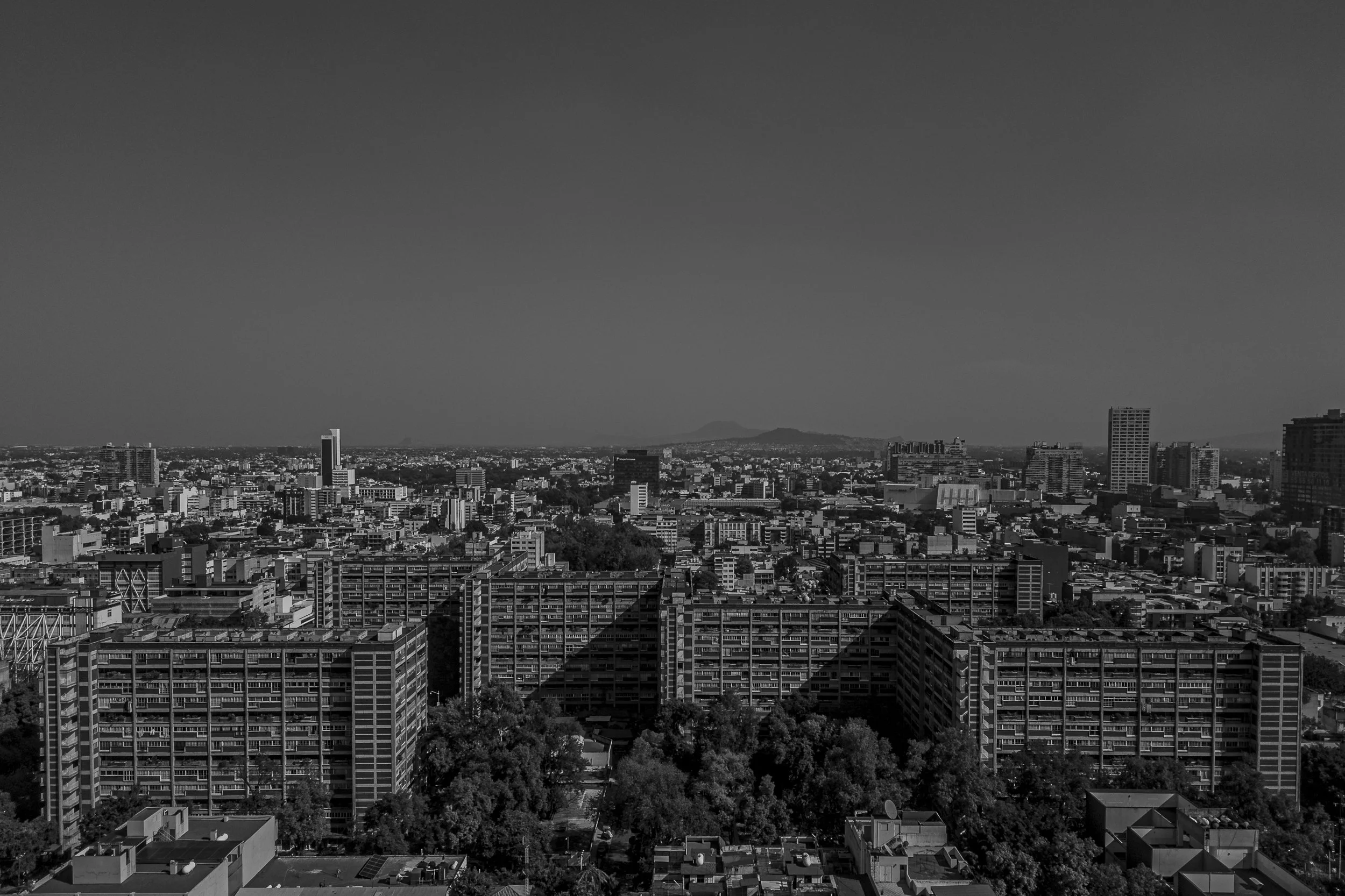 Cupa - 2024-1.jpg