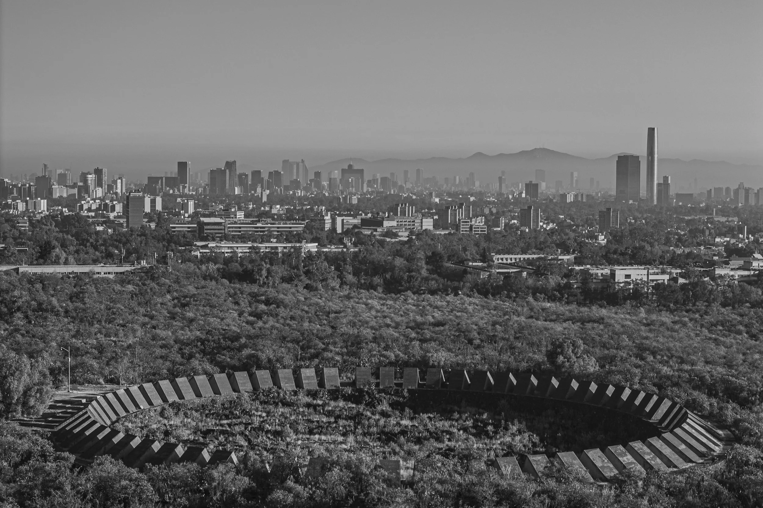 Espacio Escultorico - 2024-7.jpg