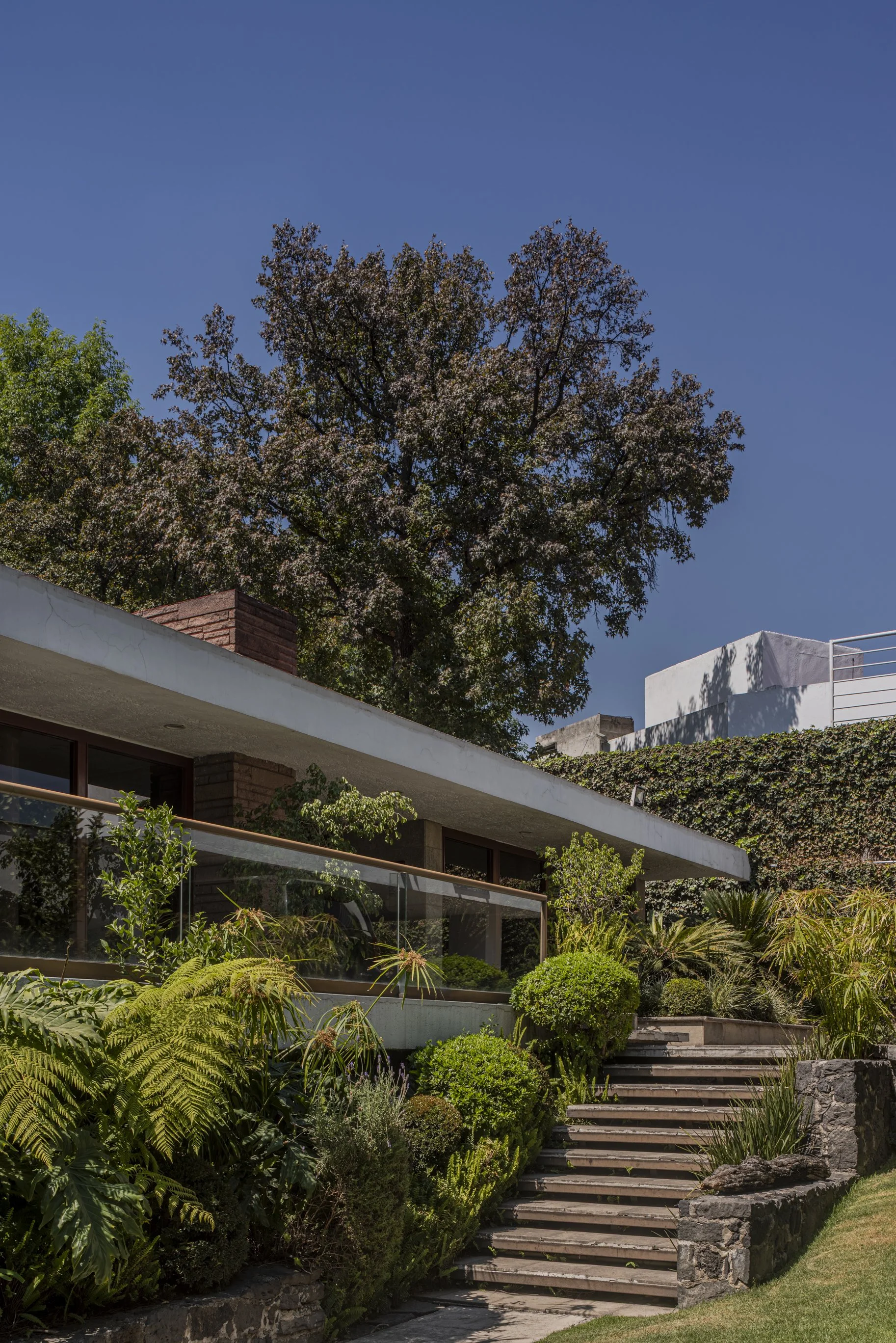 Legado Jardines del Pedregal - 09-5.jpg