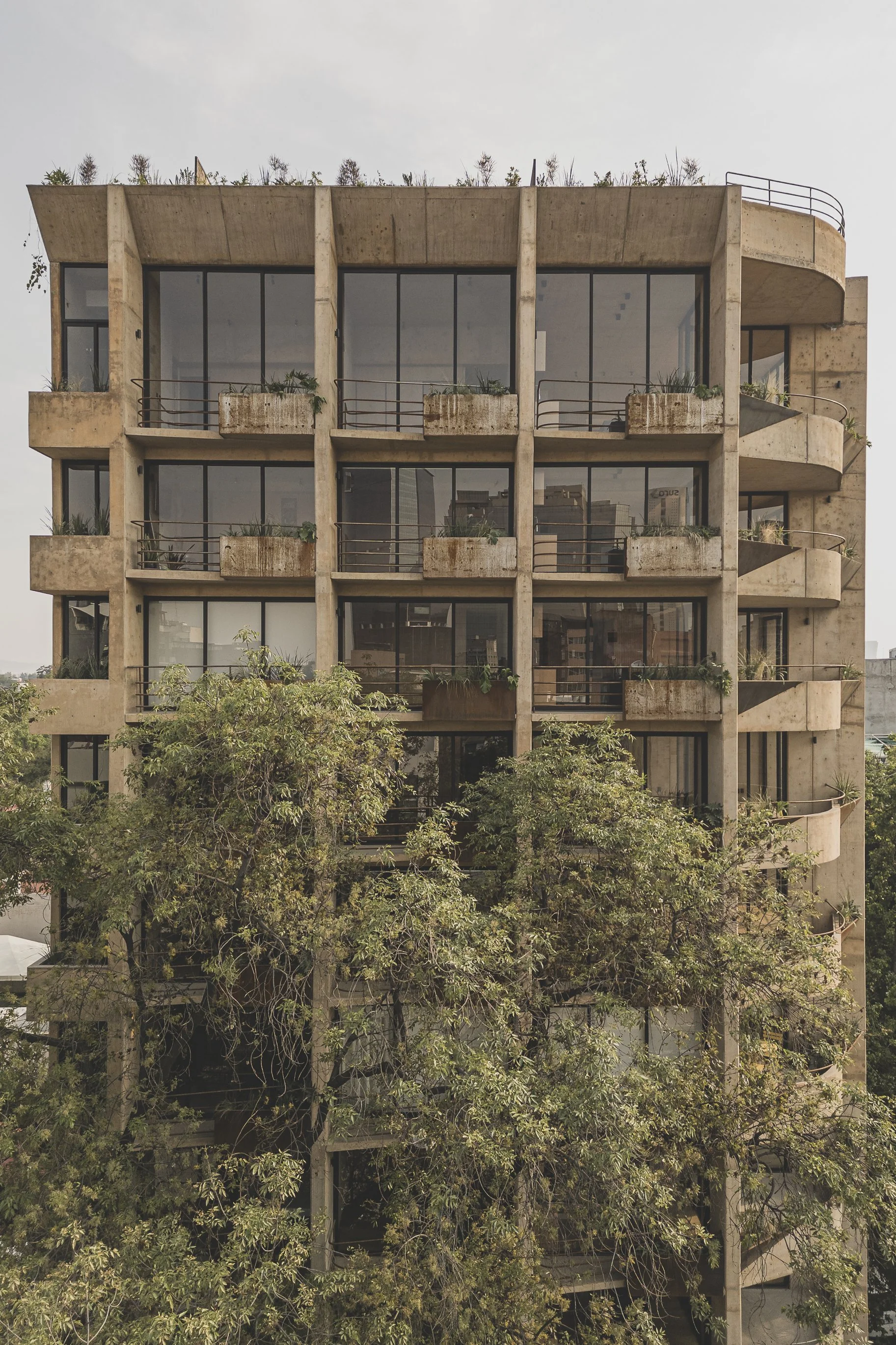 Chapultepec 230 - Vertebral-6.jpg