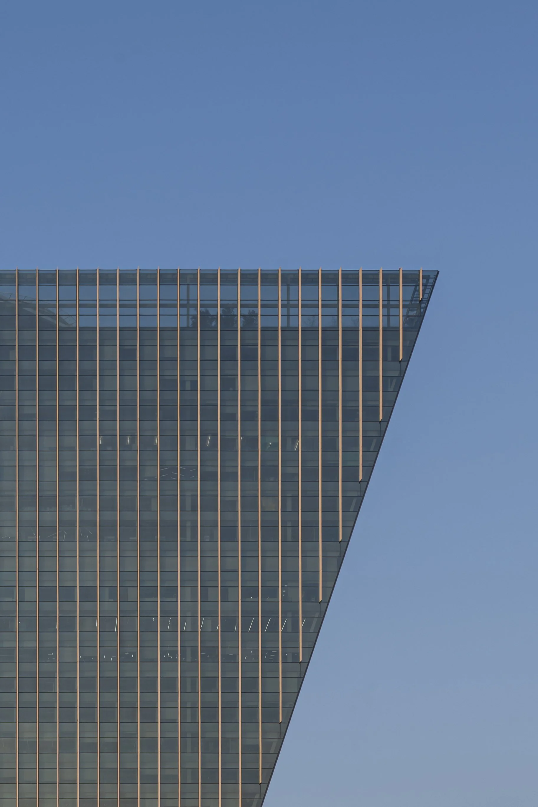 Torre Virreyes - Teodoro Gonzalez de Leon-15.jpg