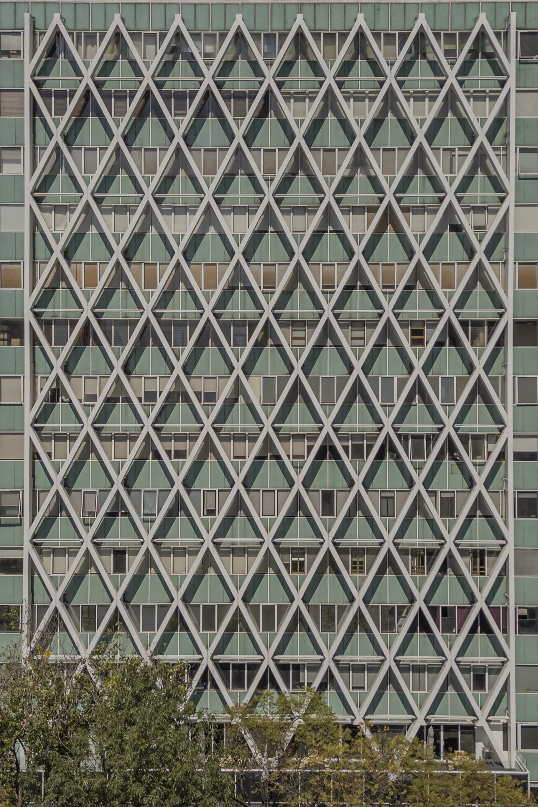 Condominio Paseo - Enrique de la Mora y Palomar 2025-6.jpg