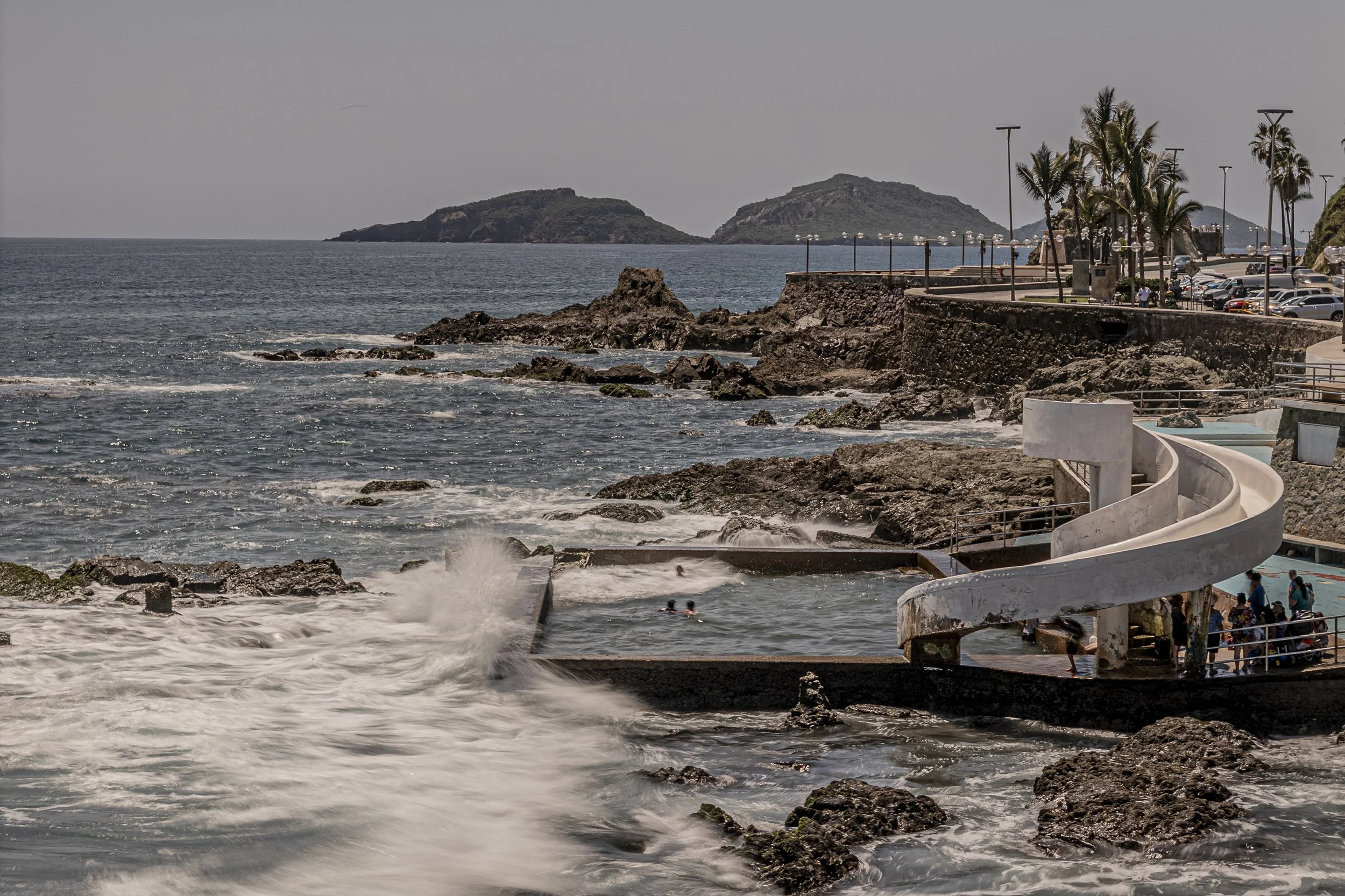 Carpa Olivera  (61 de 84).jpg