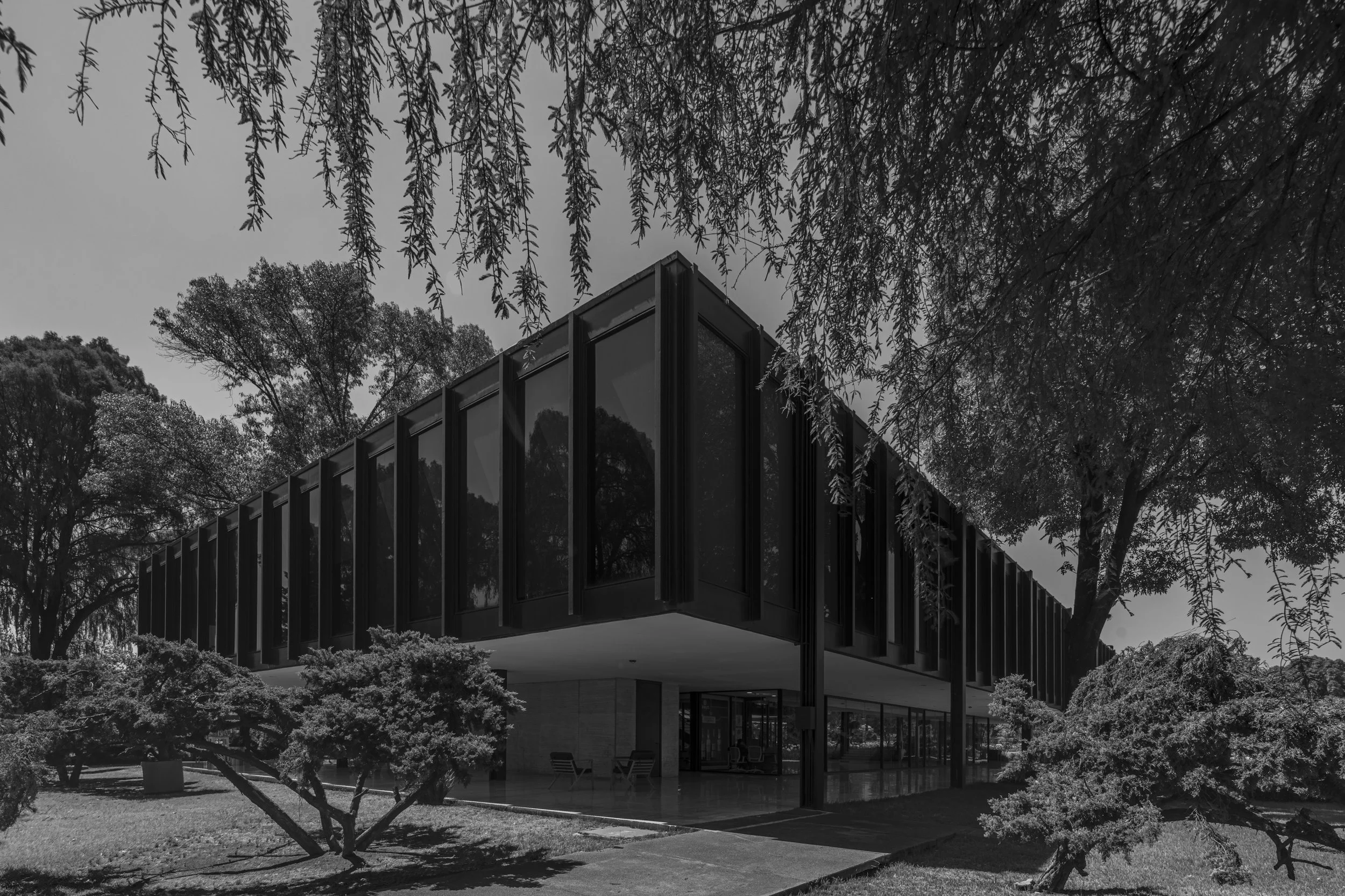 Bacardi - Mies-2.jpg