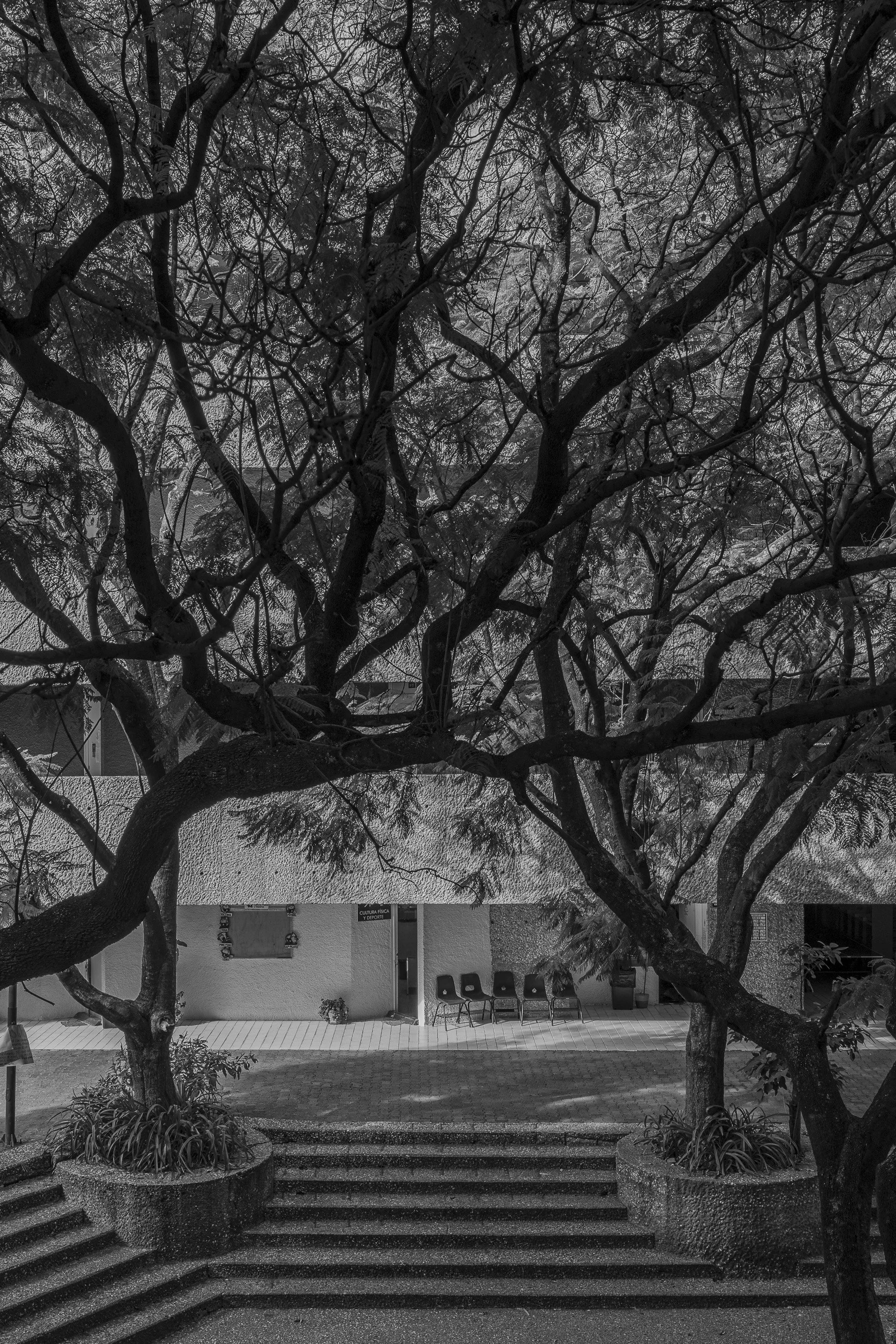 Alejandro Mendlovic Arquitectos - The Parallel - Baja-10.jpg