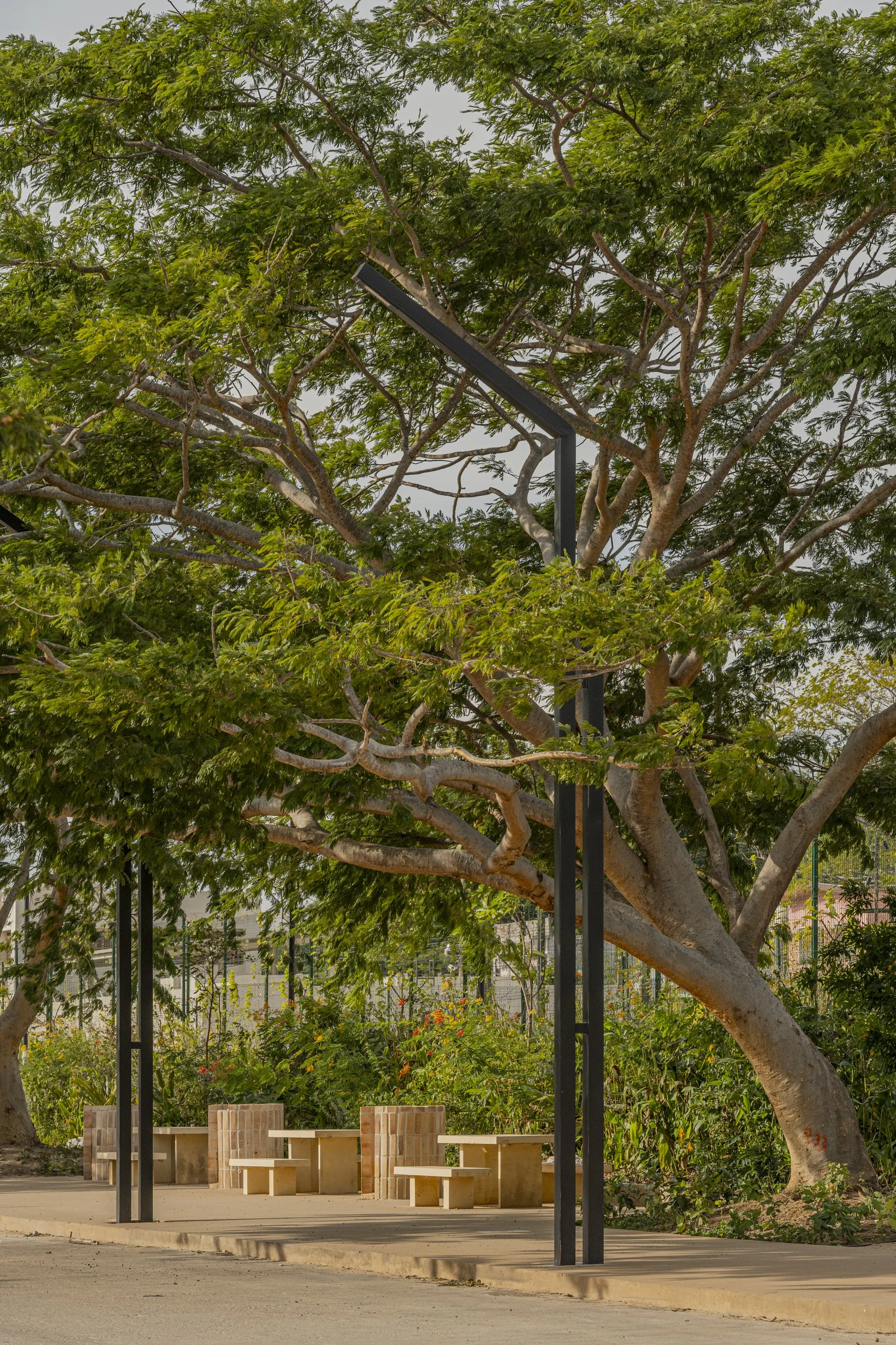 Parque Chiapas - VEA-1.jpg