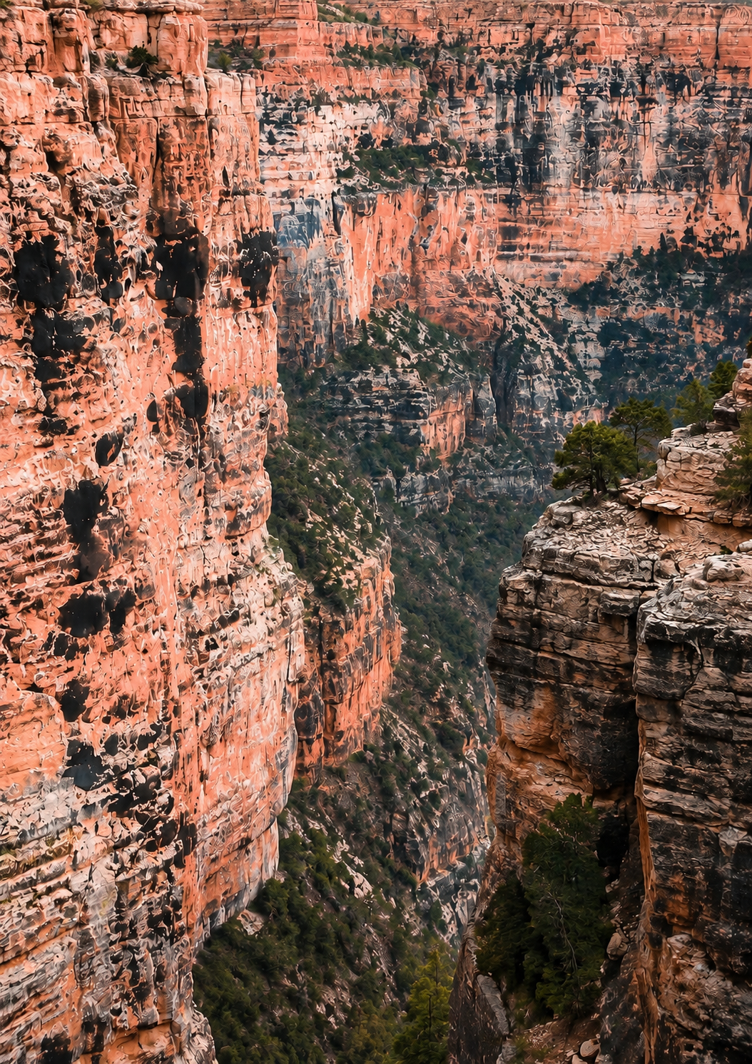 Paysage XL6.png