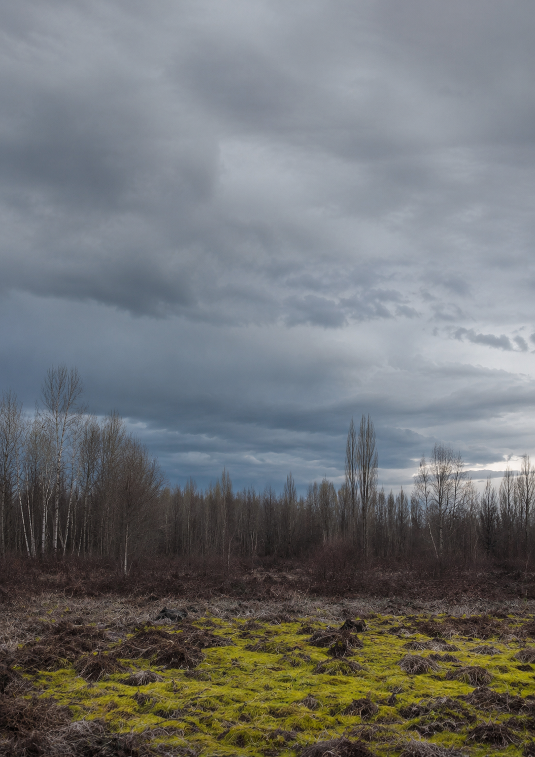 Paysage L14.png