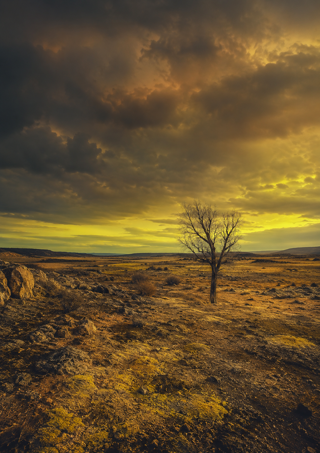 Paysage L17.png