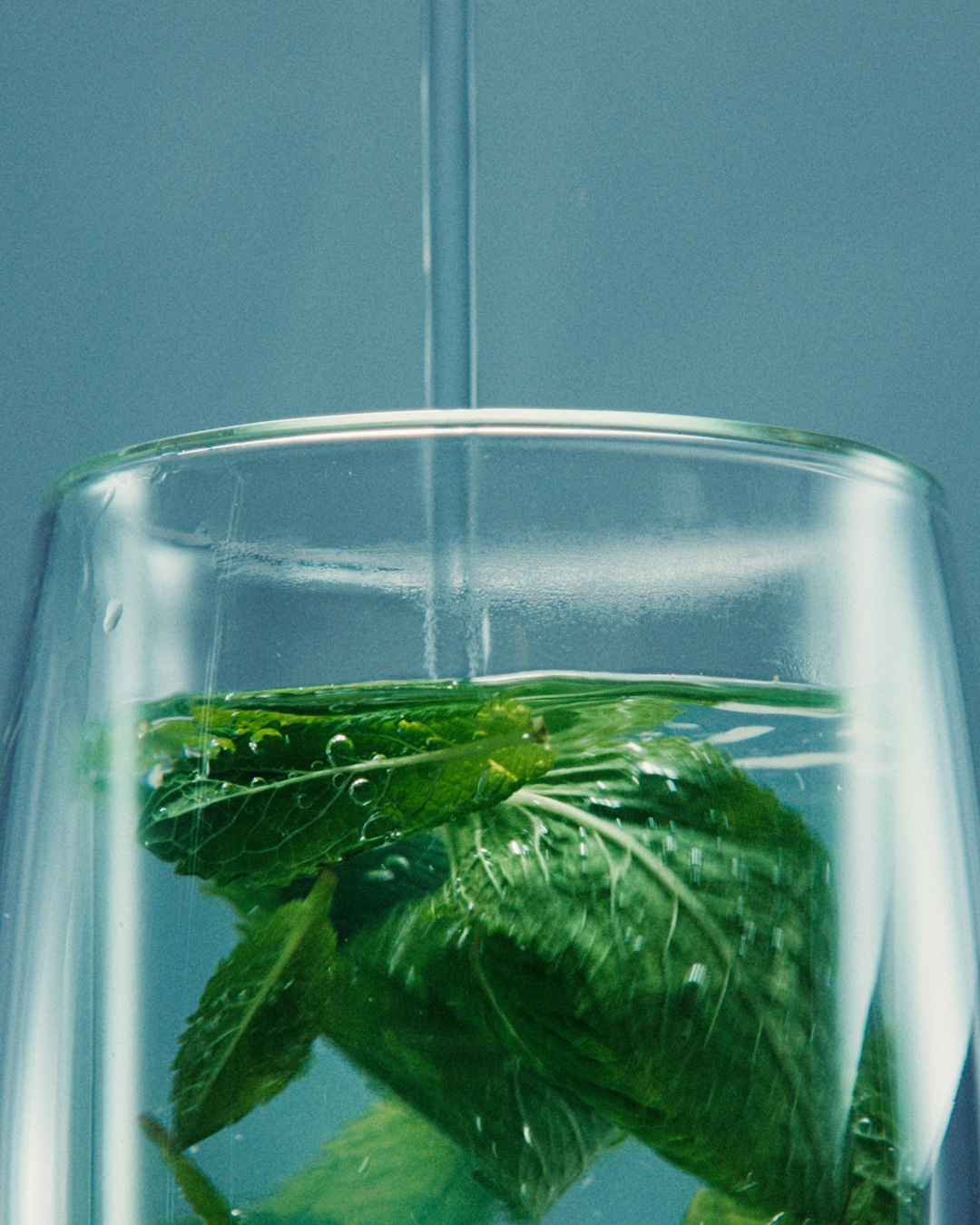 MintTea.png